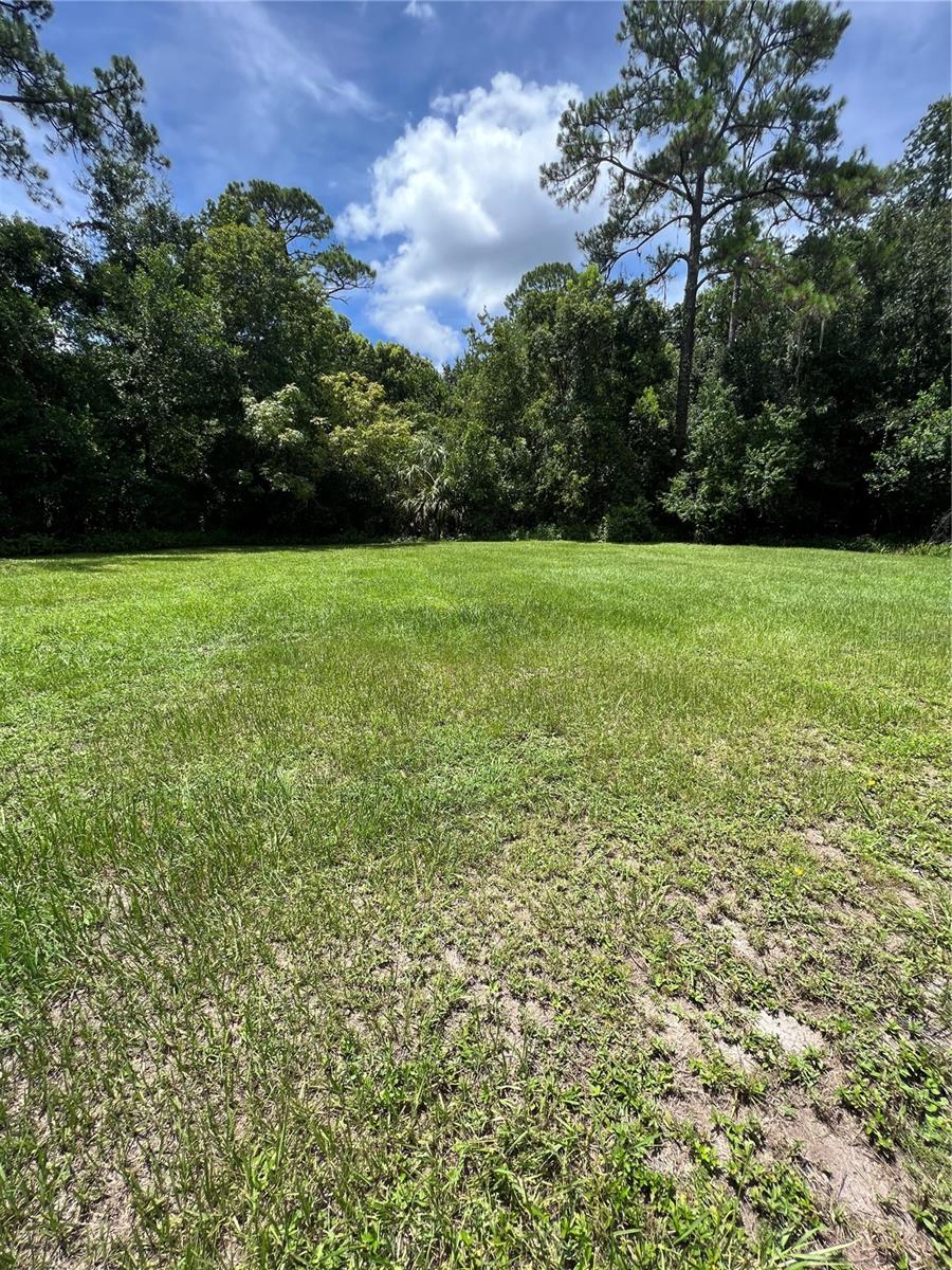 1292 Hickory Dr Property Photo 2