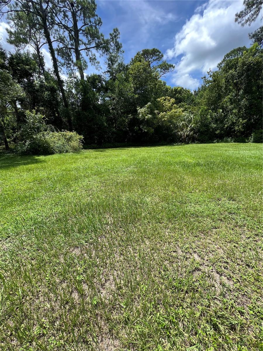1292 Hickory Dr Property Photo 4