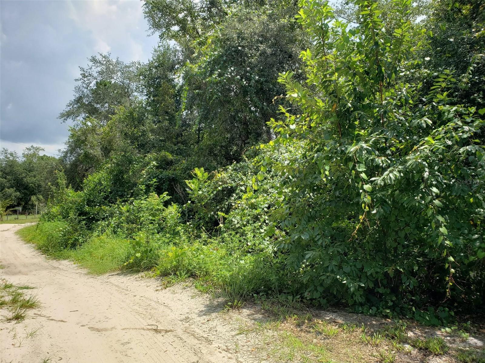 Pine Valley Dr Property Photo 1