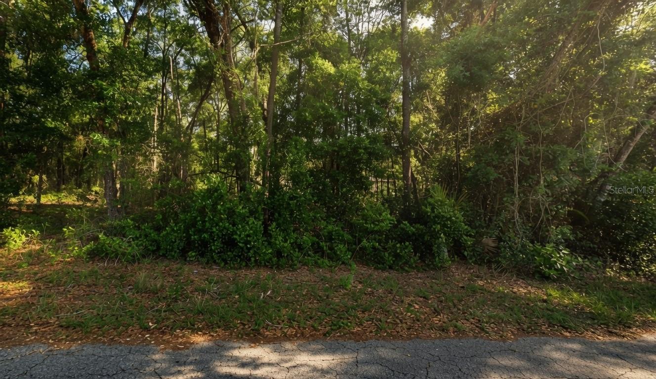 6355 E Peach St Property Photo 2