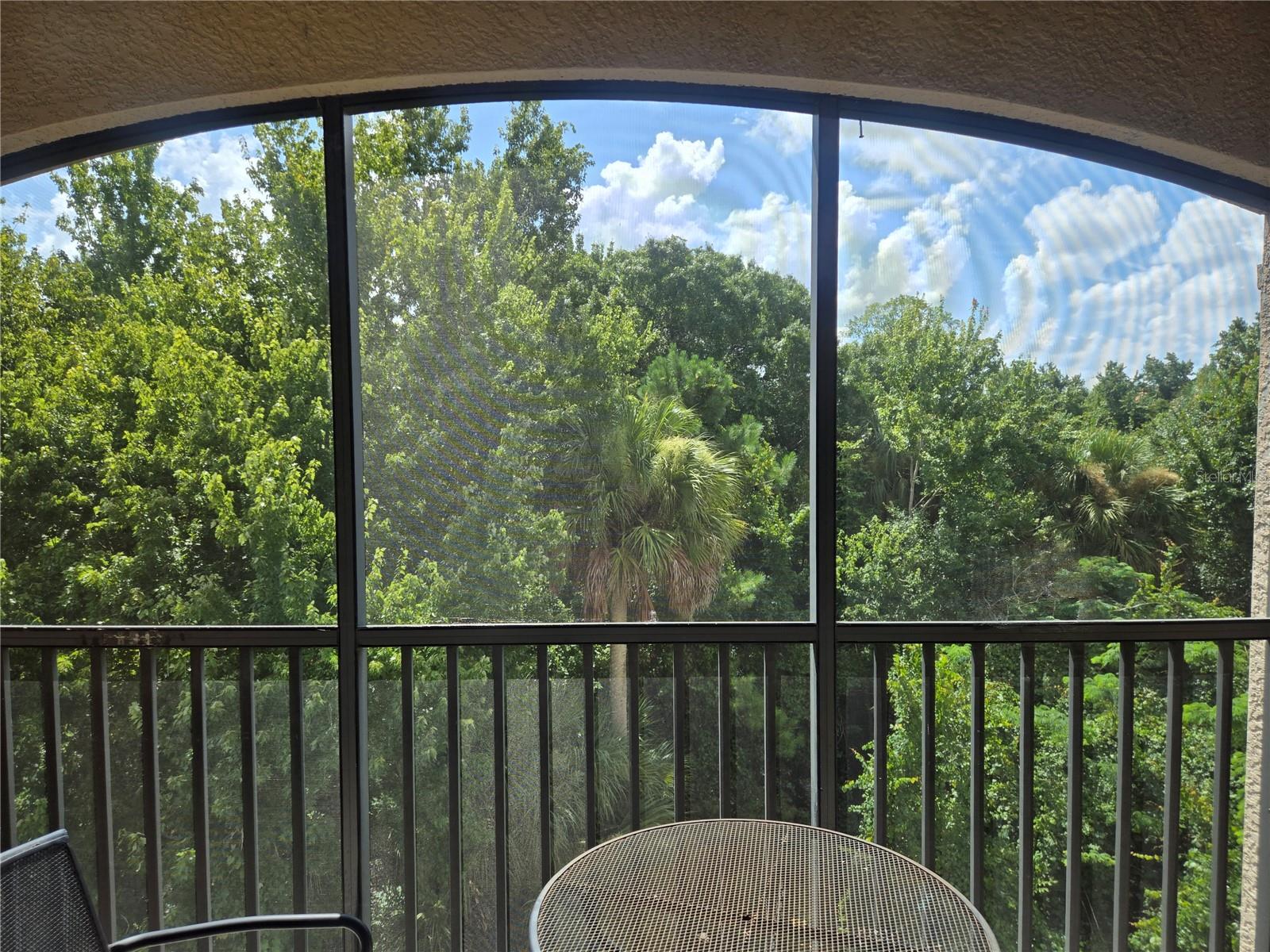 1301 Tuscan Ter #9408 Property Photo 17