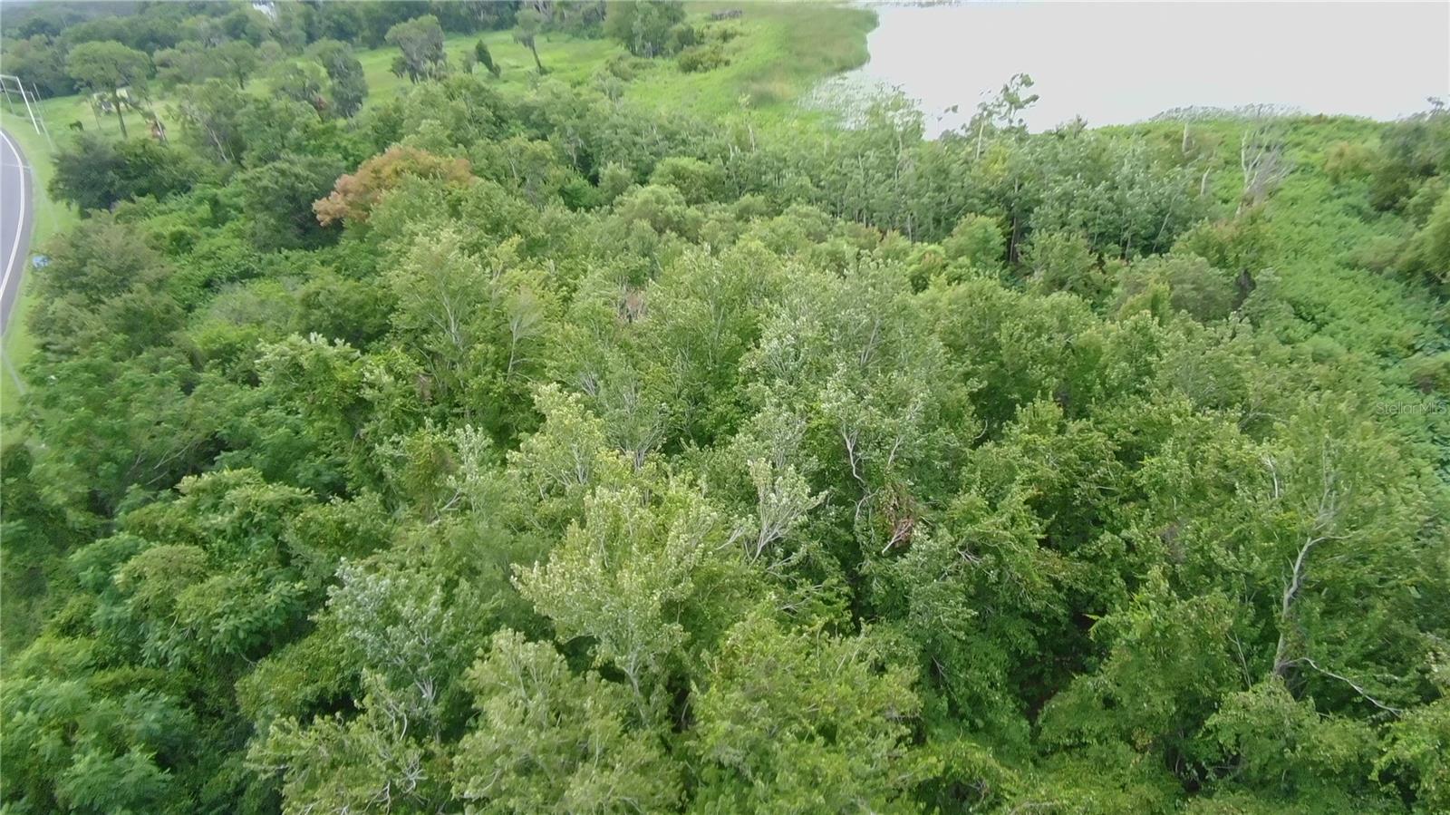 0 Alfred Dr E Property Photo 12