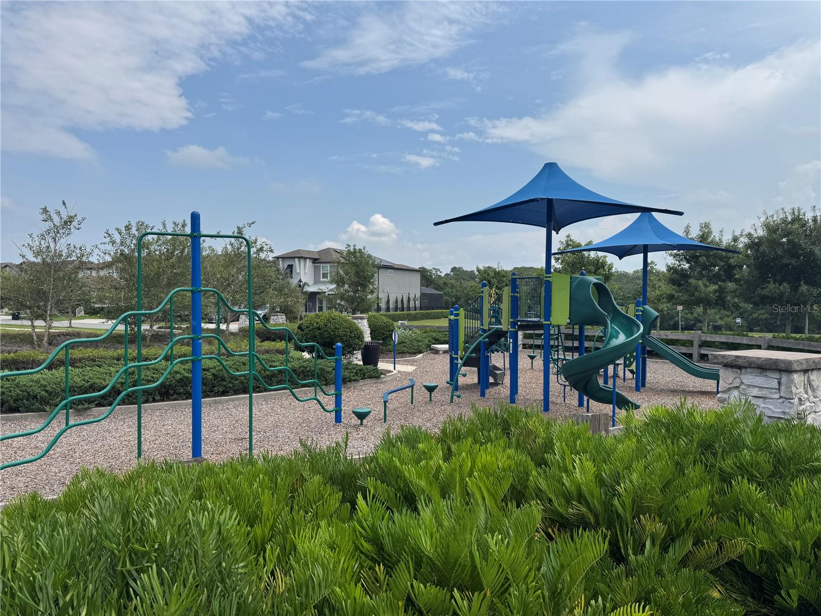 10439 Austrina Oak Loop Property Photo 60