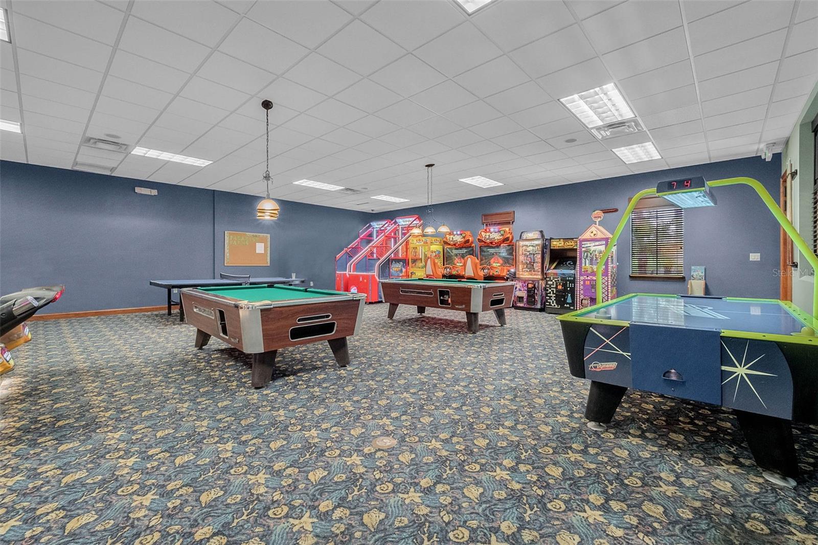 8957 Cat Palm Rd Property Photo 37