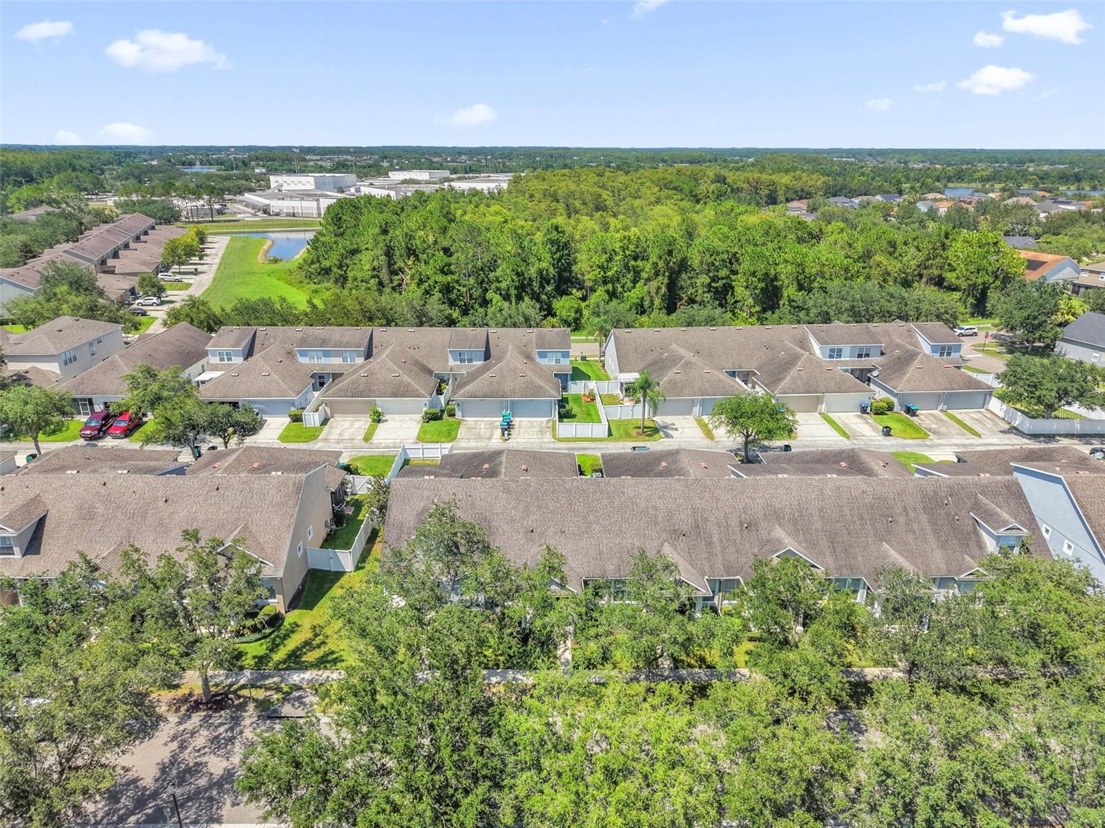 14057 Wild Majestic St Property Photo 31