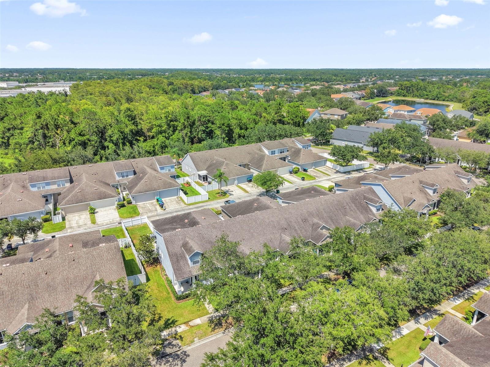 14057 Wild Majestic St Property Photo 32
