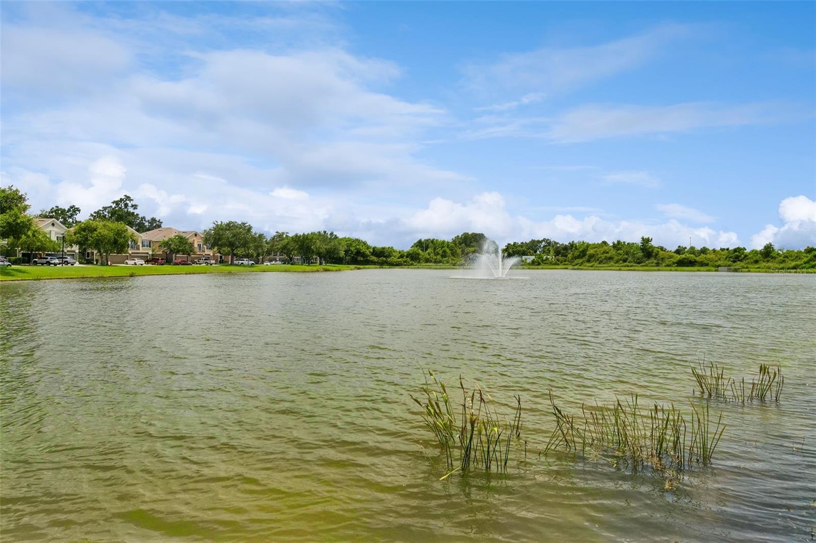 1668 Scarlet Oak Loop #c Property Photo 44