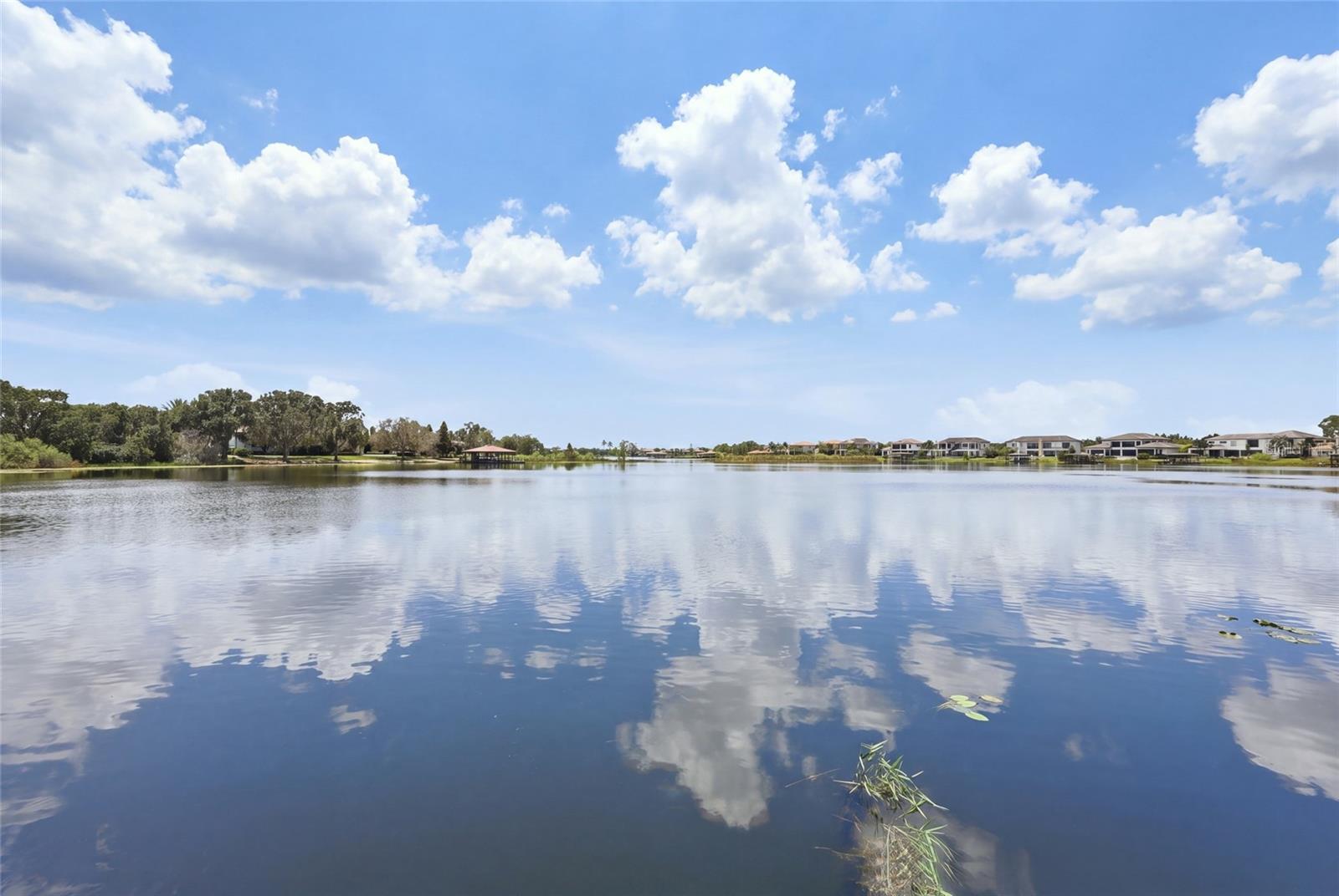 12102 Montalcino Cir Property Photo 71