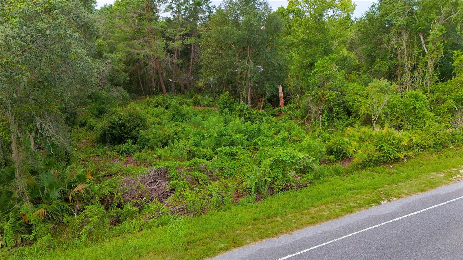 County Road 42 Property Photo 7