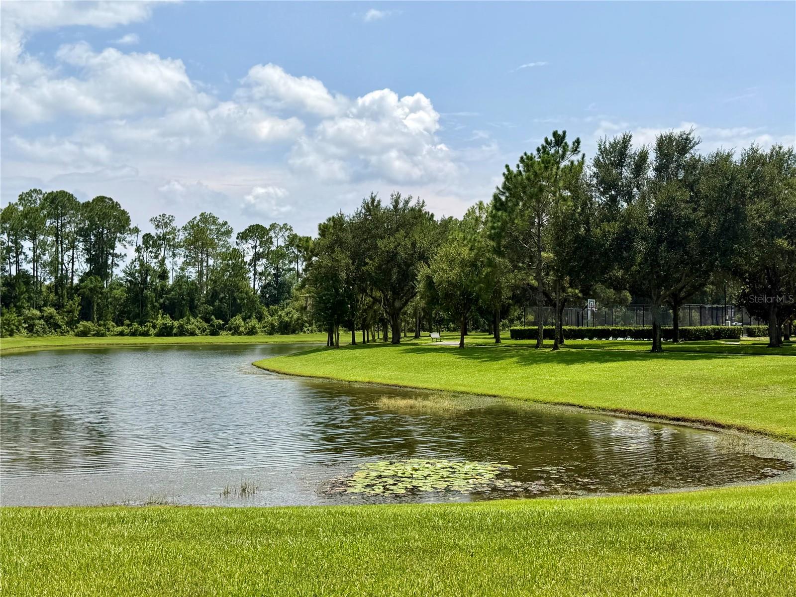 12914 Vennetta Way Property Photo 49