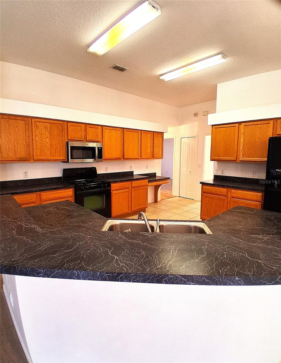 771 Mountain Ash Way Property Photo 4
