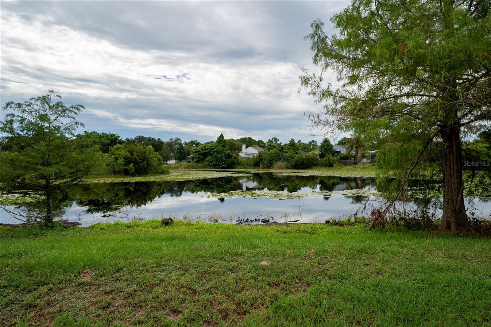 5924 Paxton Ct Property Photo 36