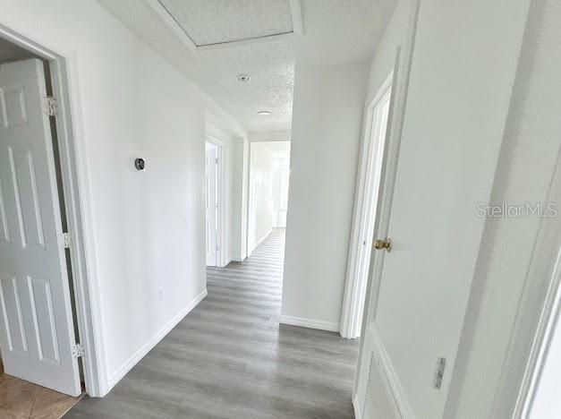 2024 Bearing Ln Property Photo 9