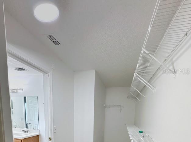 2024 Bearing Ln Property Photo 17