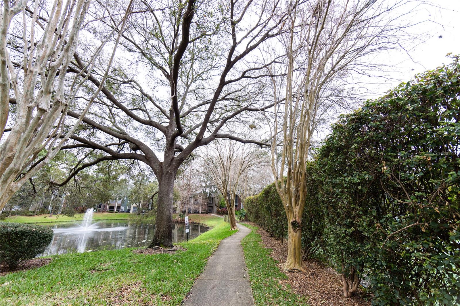 O6428671 Property Photo 18