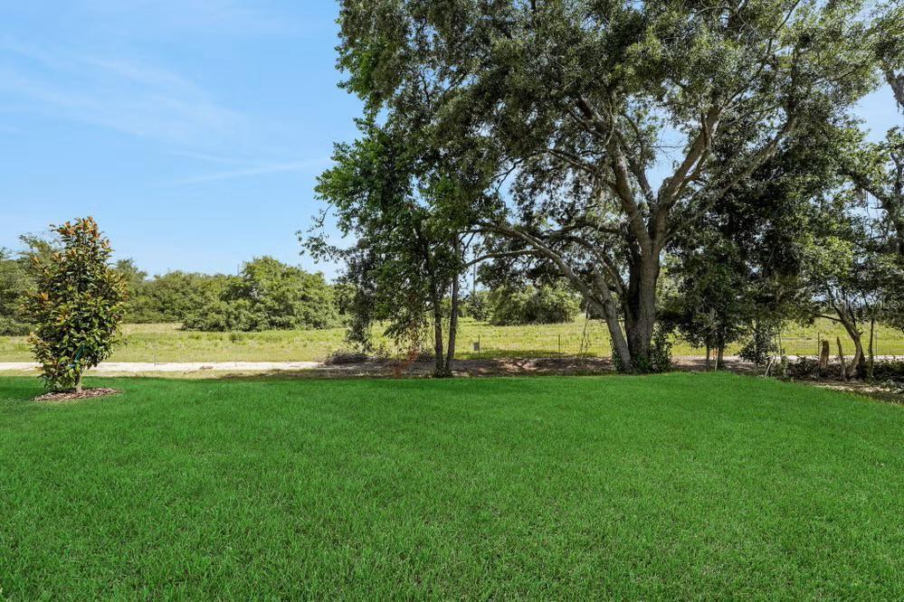 15075 Tea Tree Dr Property Photo 6