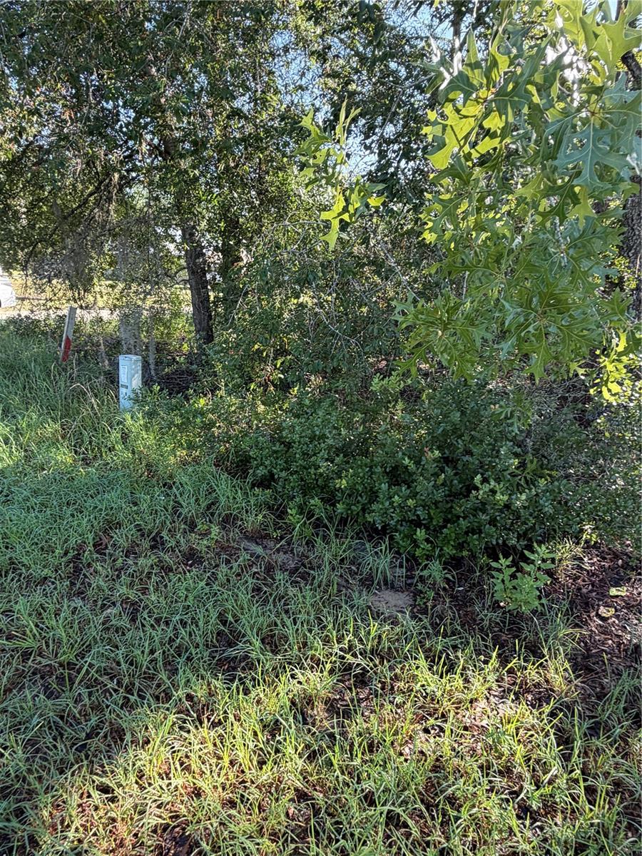 Alaska Ave Property Photo 3