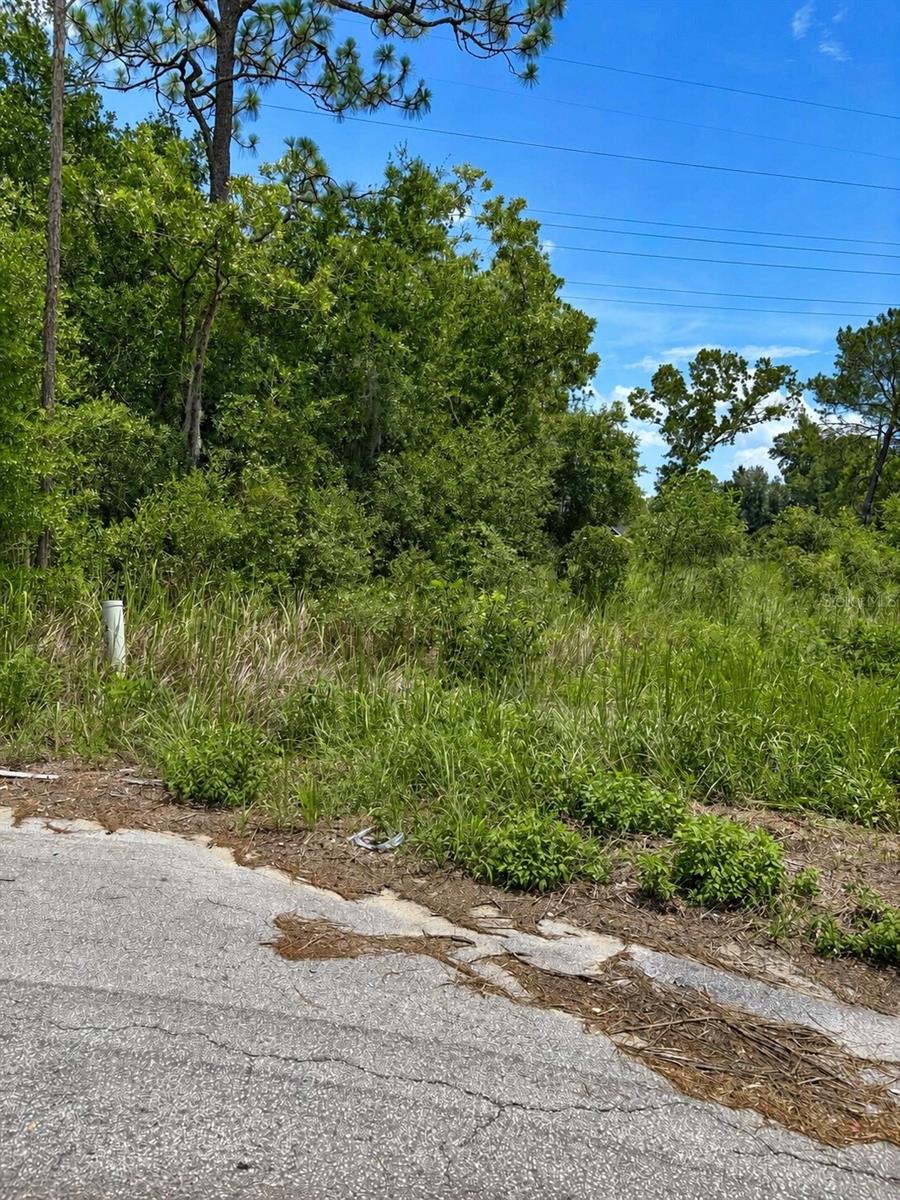 Water Track Lot 08 Property Photo 1