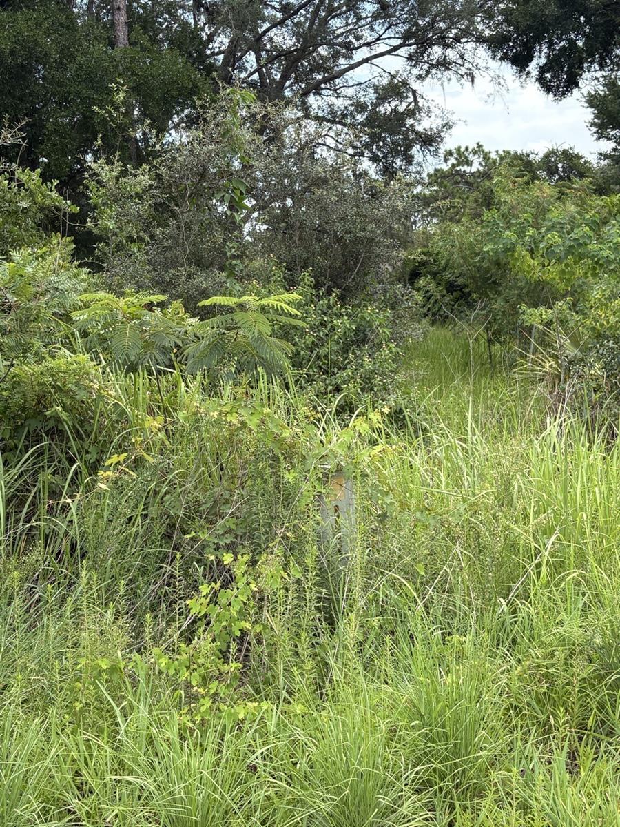 Oak Pass Run #lot 10 Property Photo 4