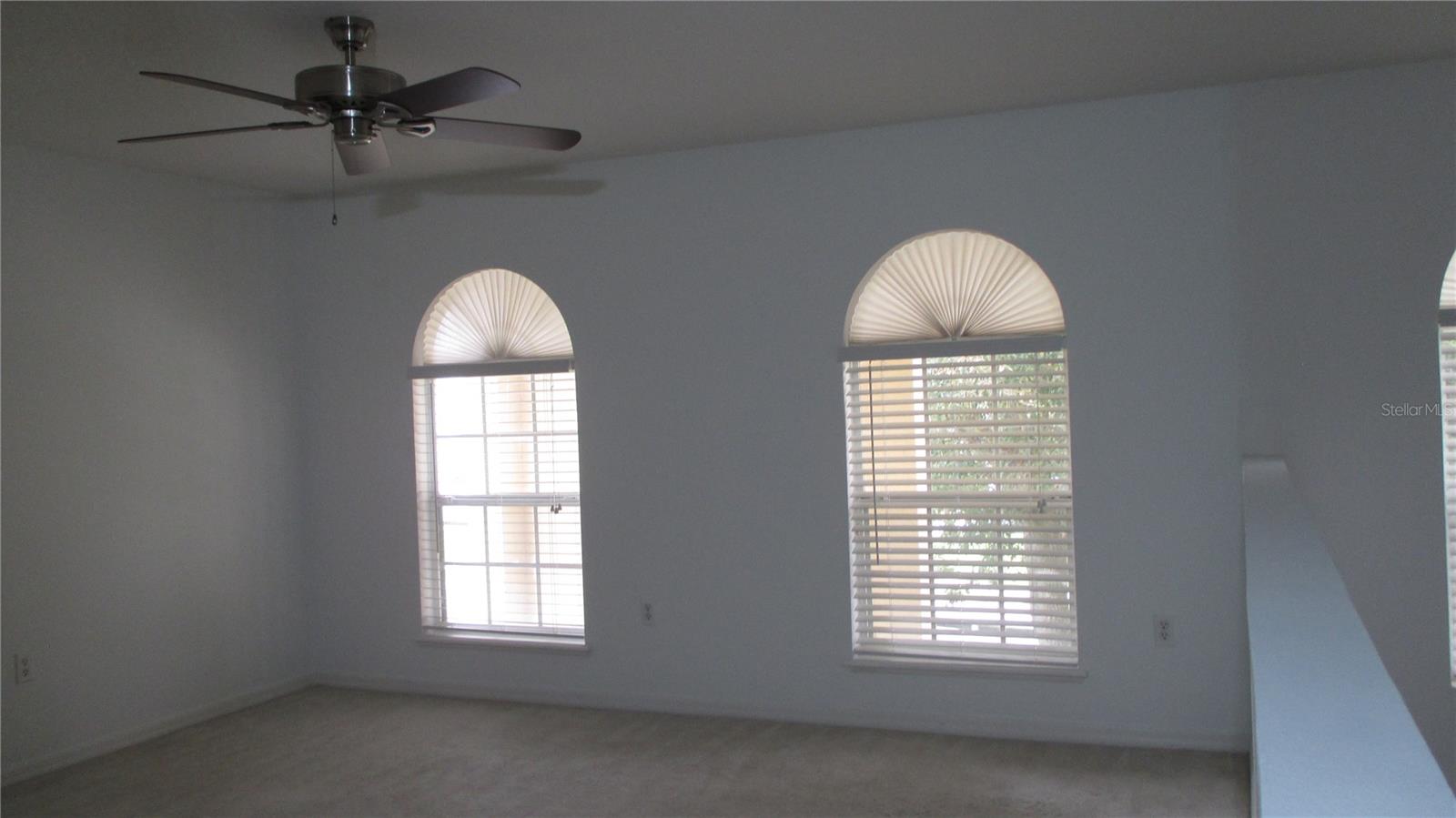 247 Blake Ave Property Photo 19