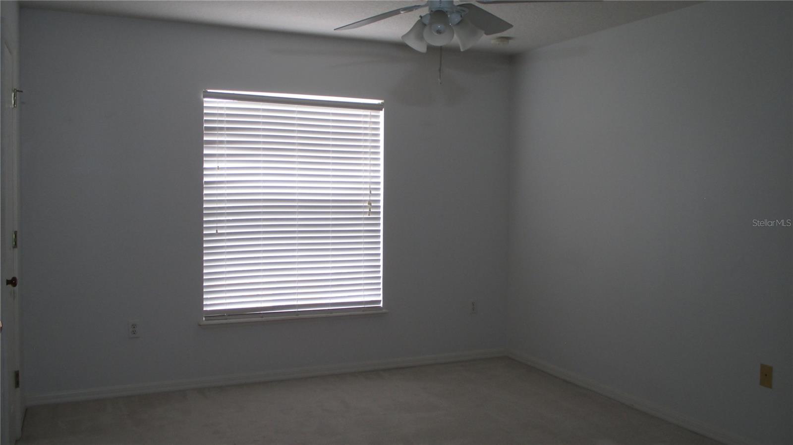 247 Blake Ave Property Photo 37