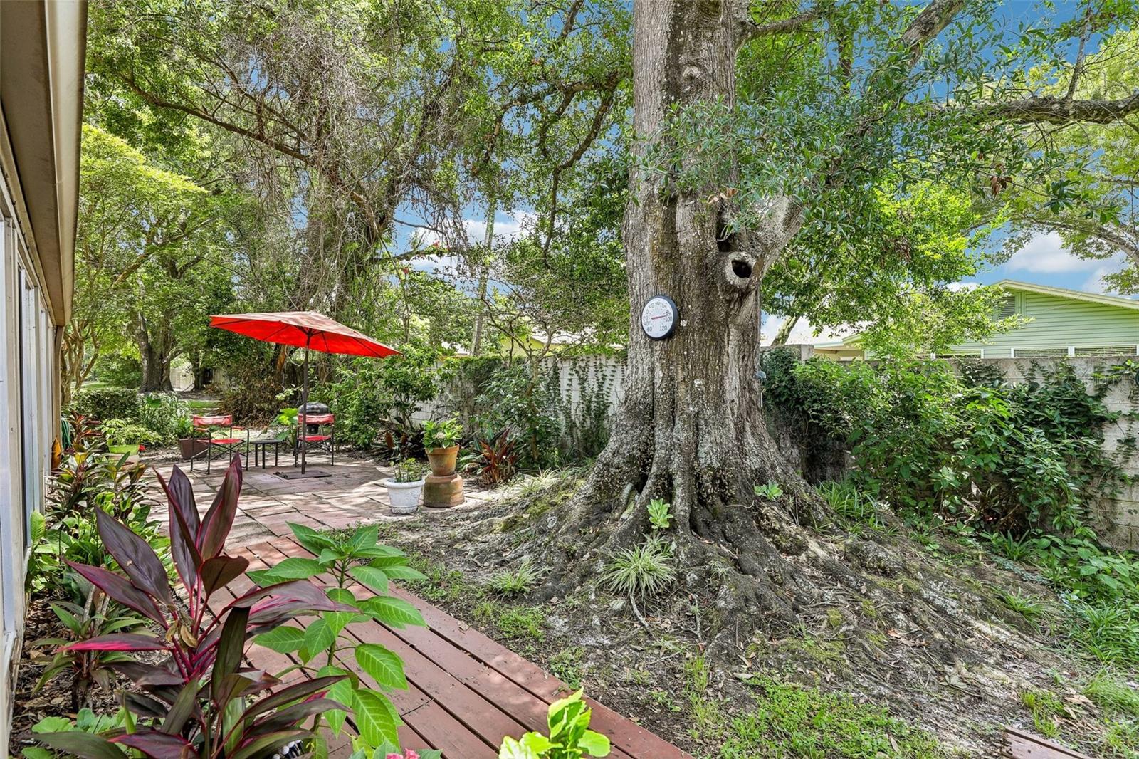 460 Oak Haven Dr Property Photo 35