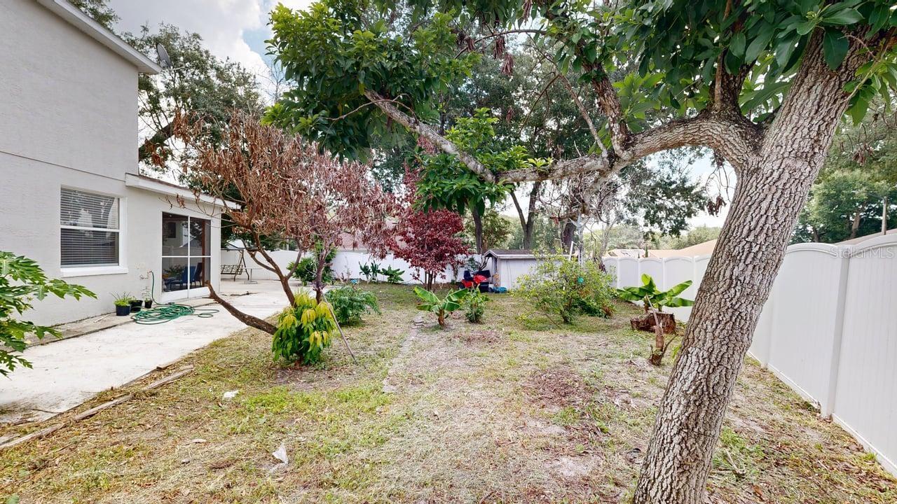 2108 Ancient Oak Dr Property Photo 12
