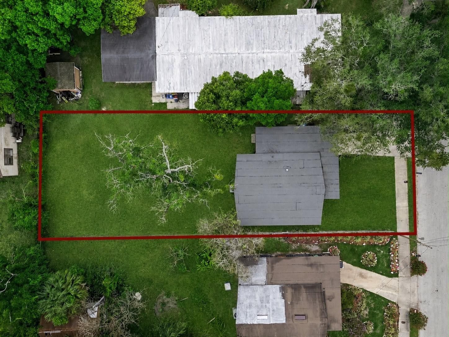 806 Citrus St Property Photo 21