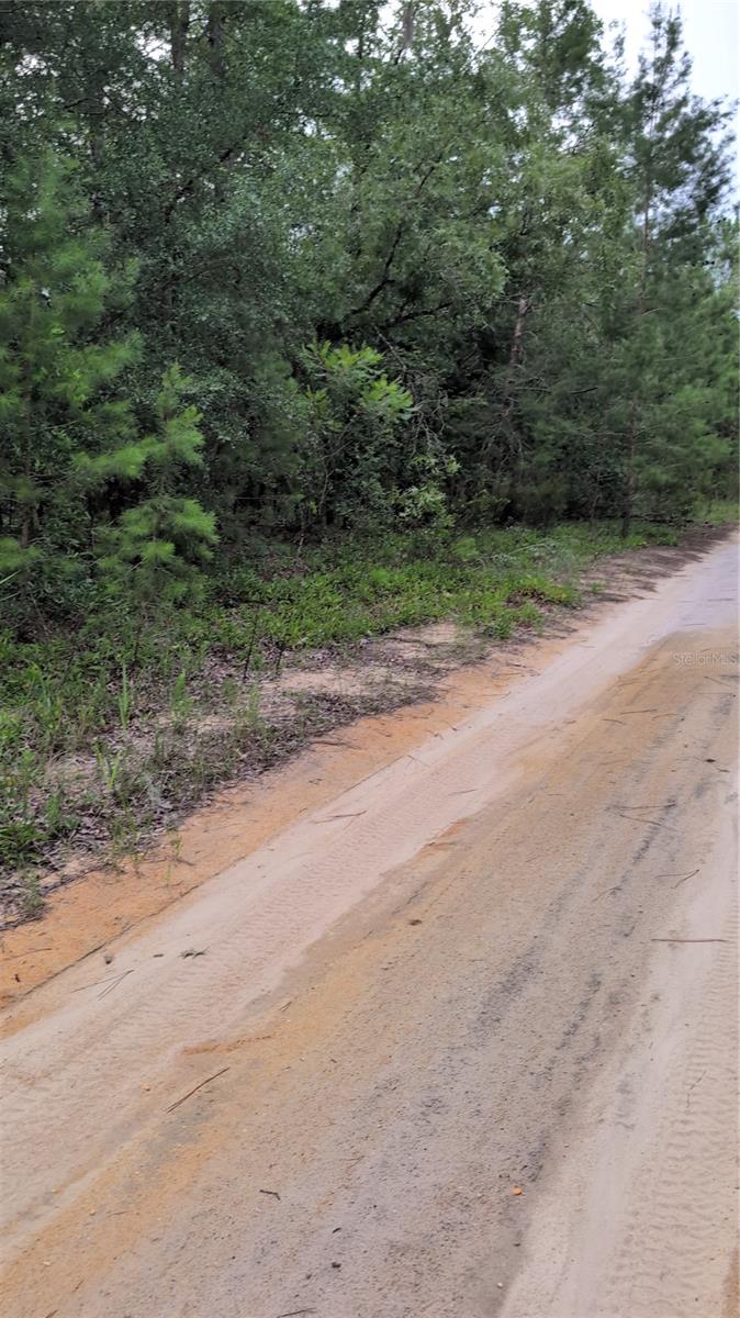 PINEWAY DR