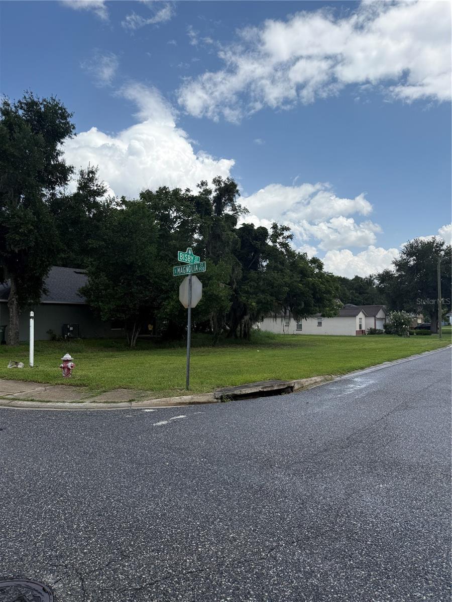 Magnolia St Property Photo 2