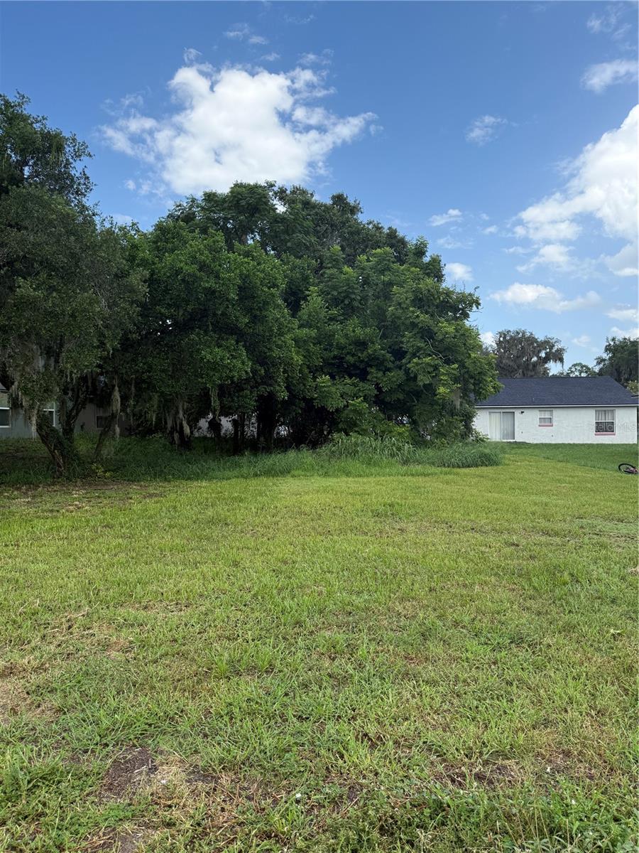 Magnolia St Property Photo 3