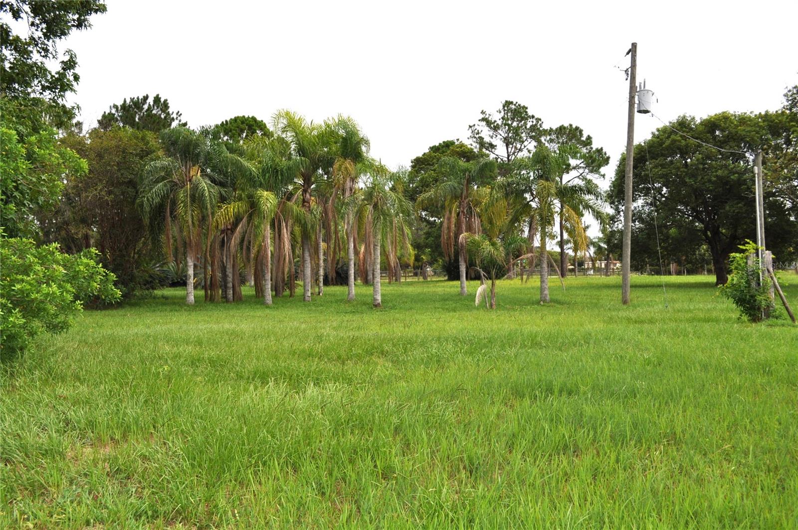5170 Star Line Dr Property Photo 5