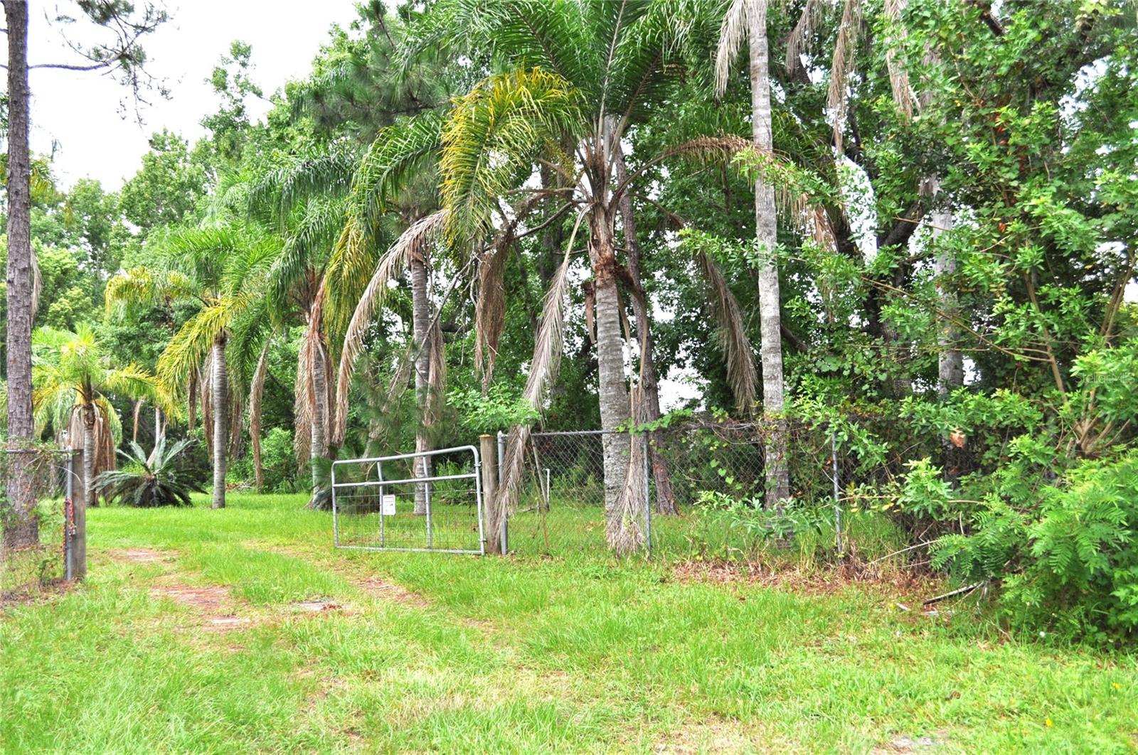 5170 Star Line Dr Property Photo 7
