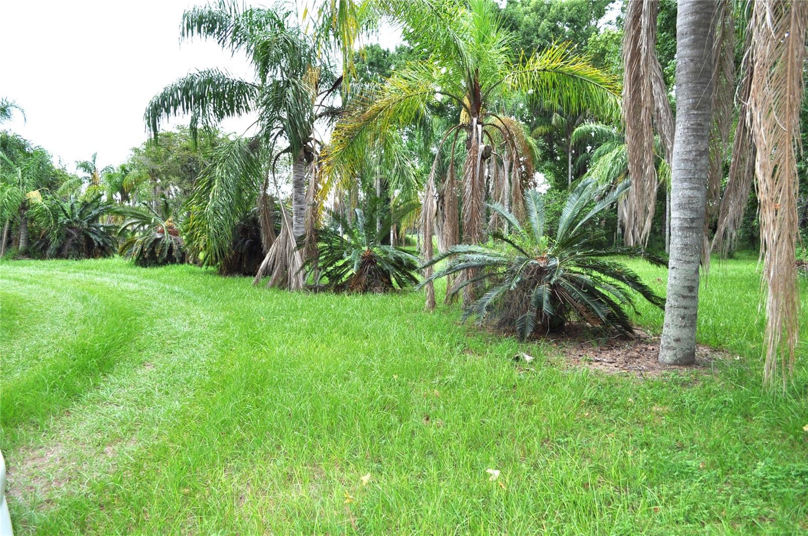 5170 Star Line Dr Property Photo 8