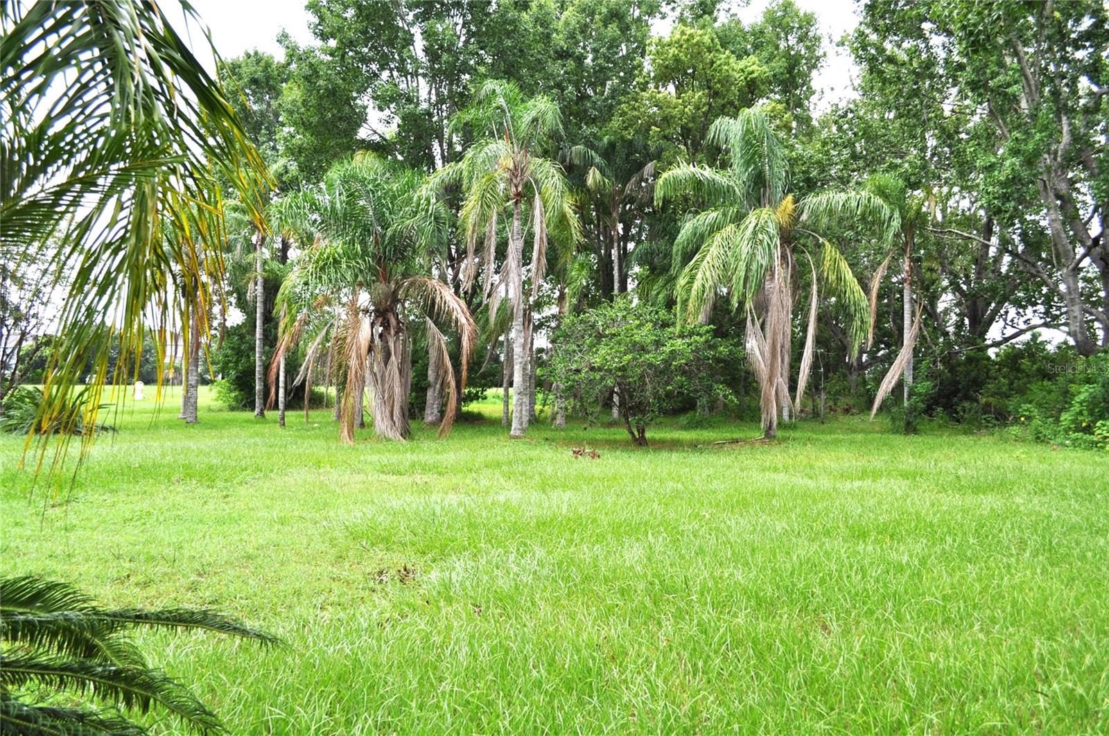 5170 Star Line Dr Property Photo 11