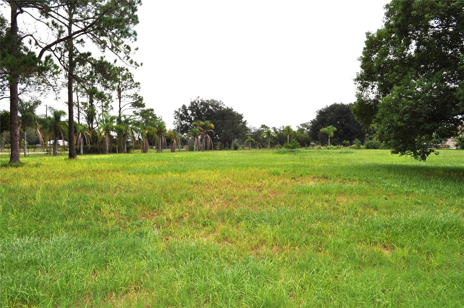 5170 Star Line Dr Property Photo 12