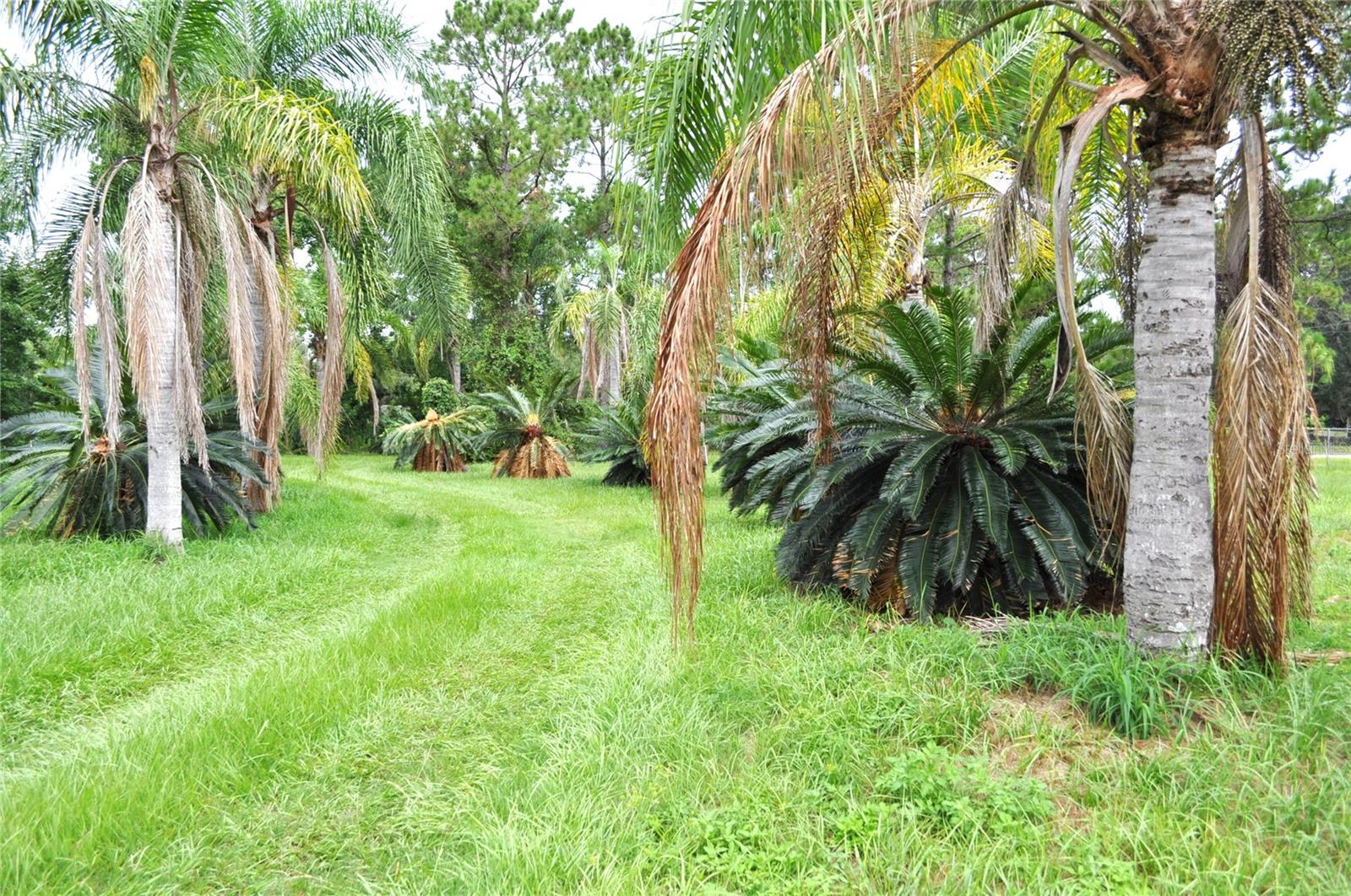 5170 Star Line Dr Property Photo 14