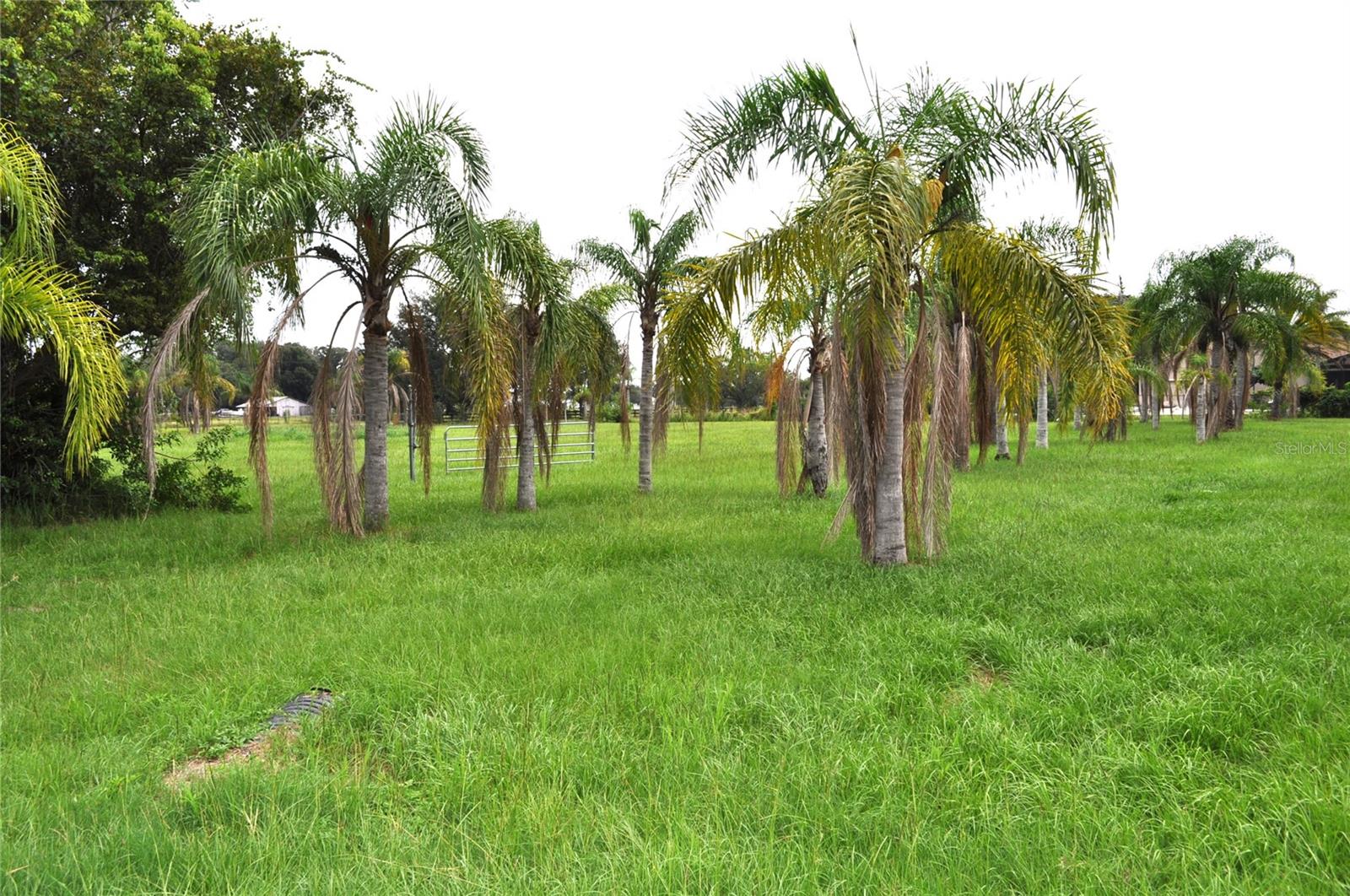 5170 Star Line Dr Property Photo 15