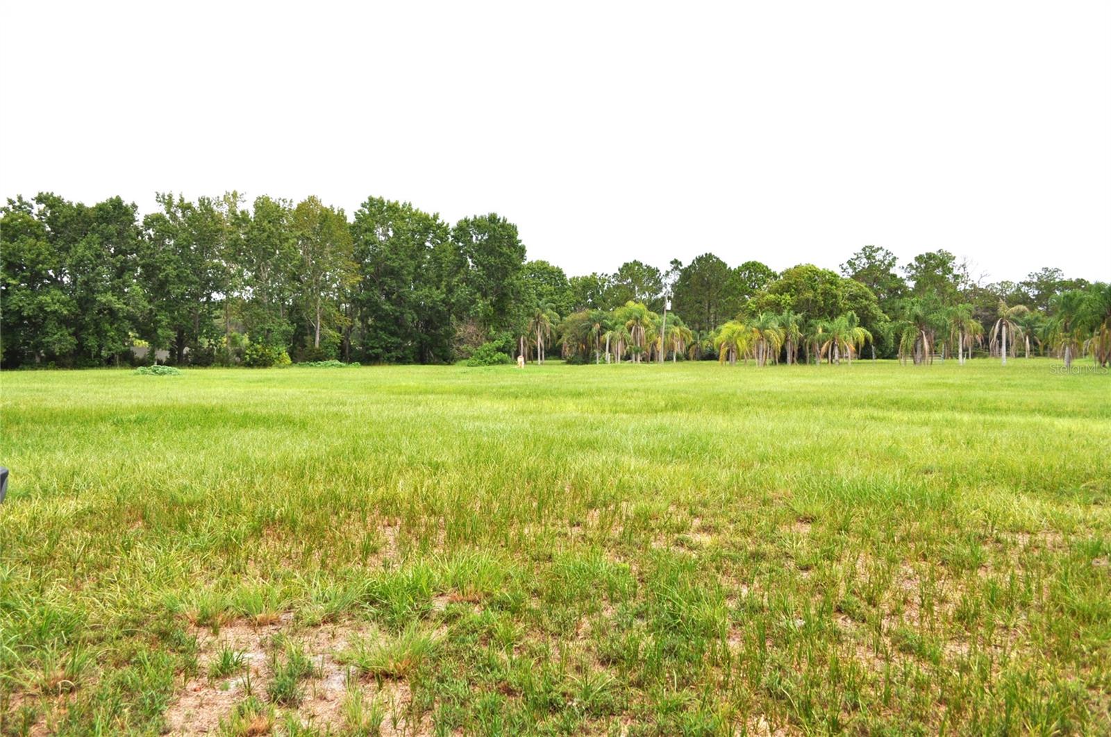 5170 Star Line Dr Property Photo 19