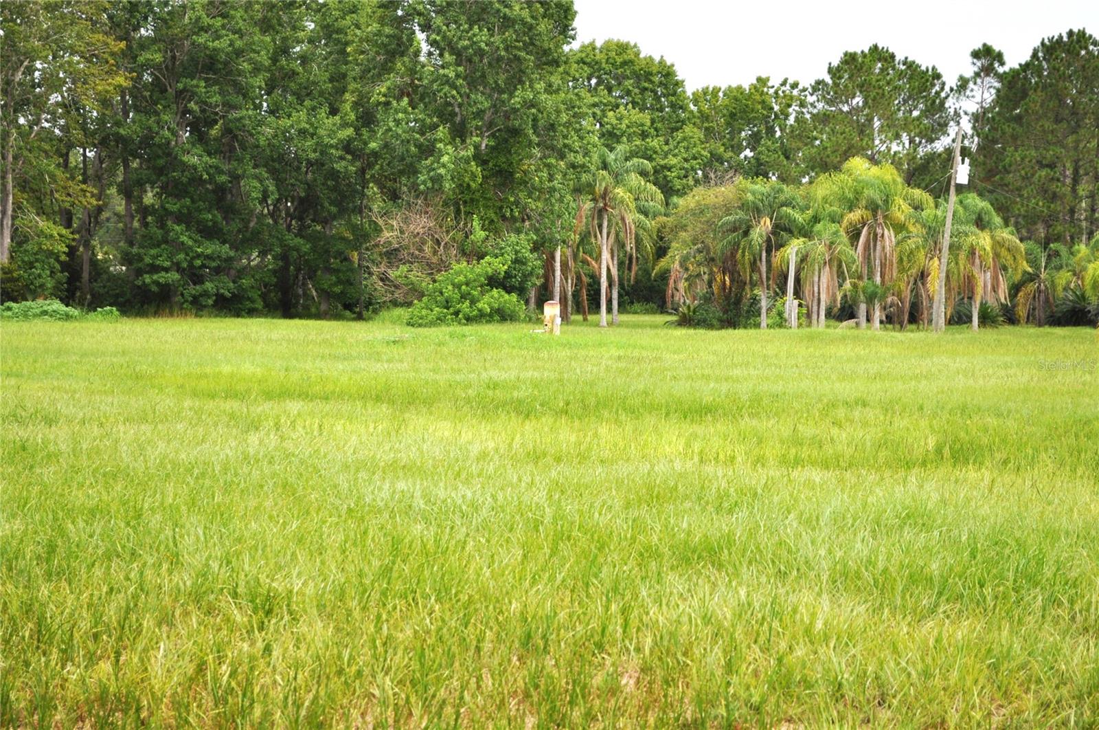 5170 Star Line Dr Property Photo 20