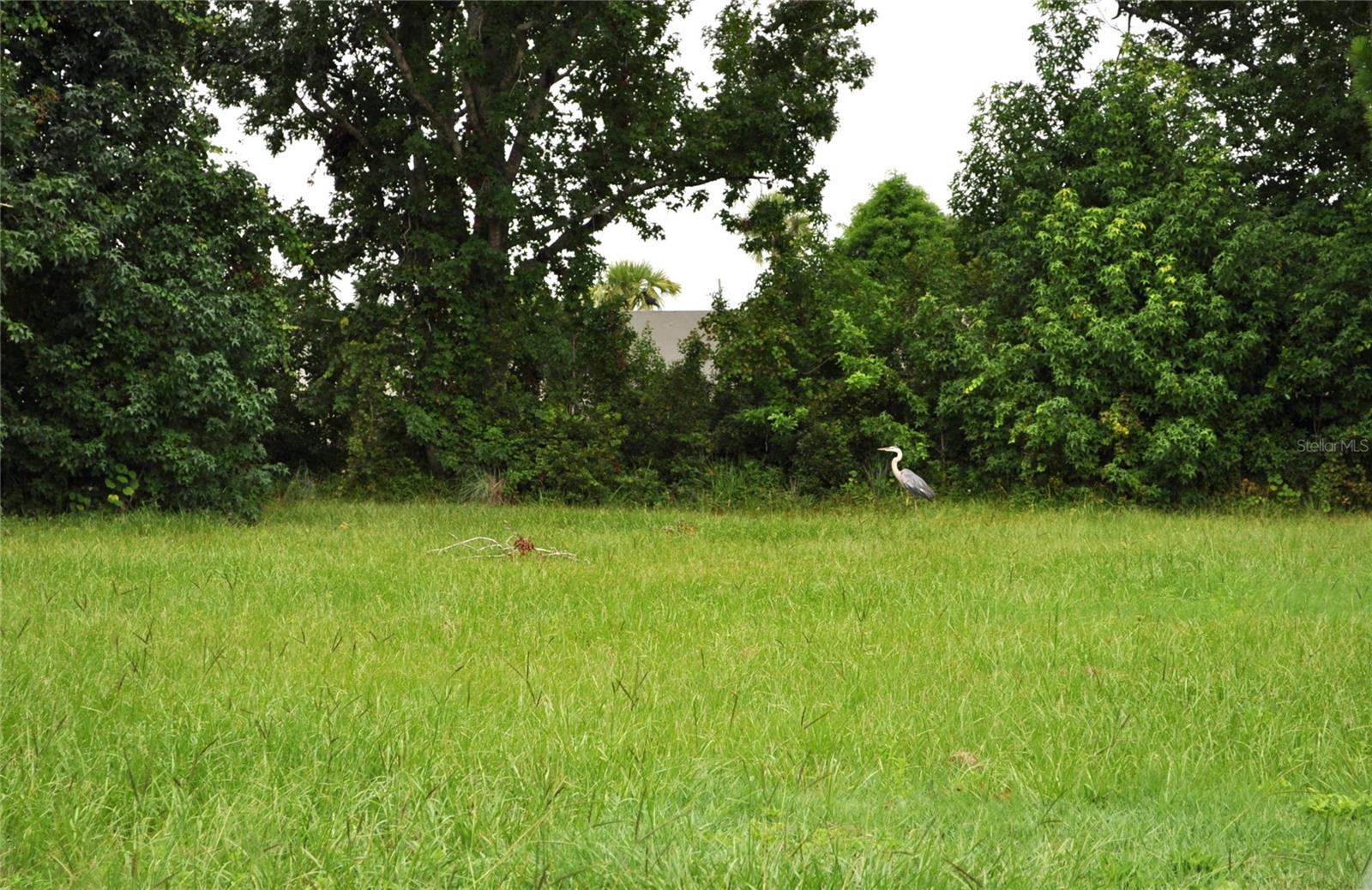 5170 Star Line Dr Property Photo 21