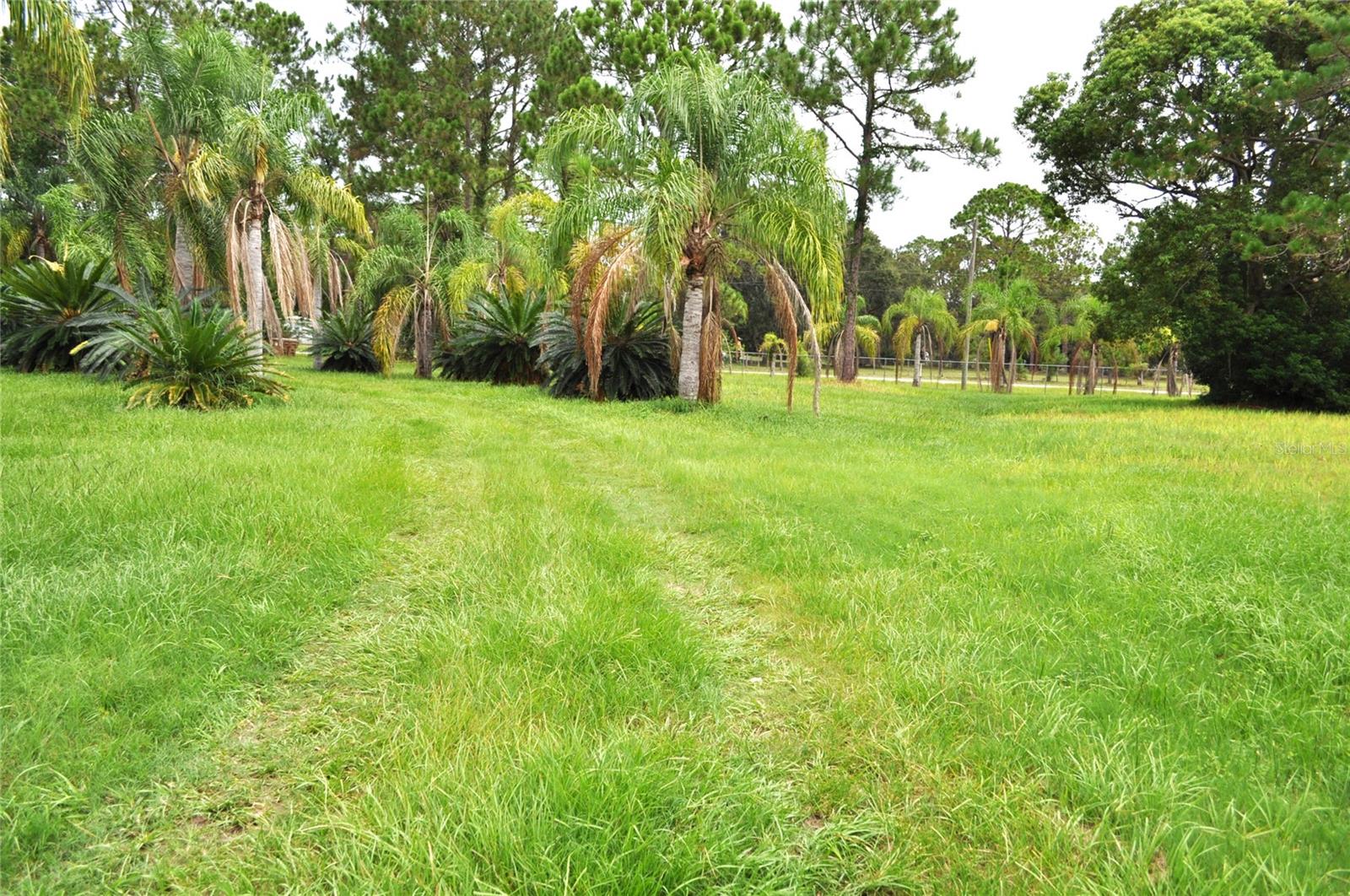 5170 Star Line Dr Property Photo 24