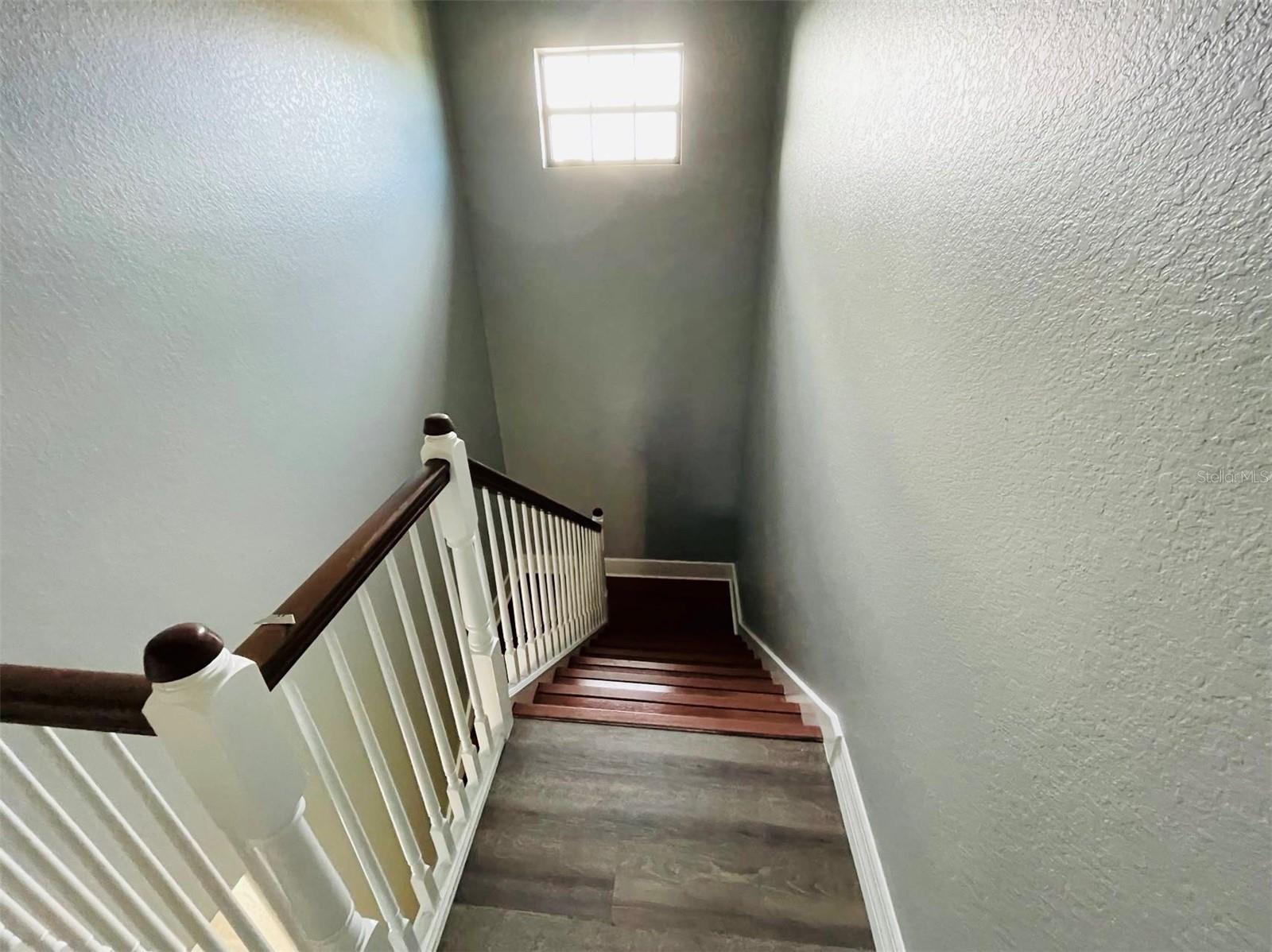 10802 Willow Ridge Loop Property Photo 19