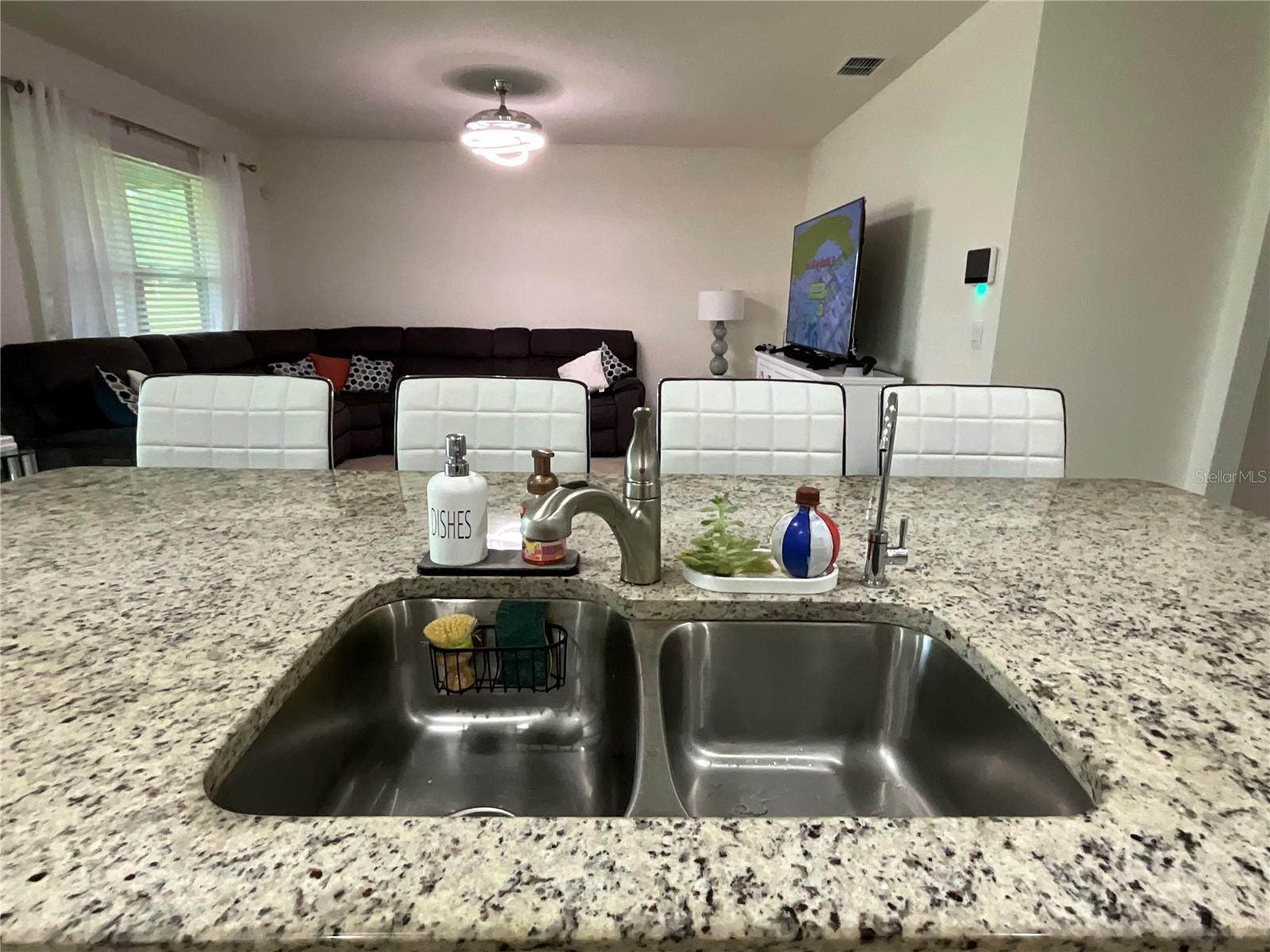 33525 Always Dreaming Ct Property Photo 46