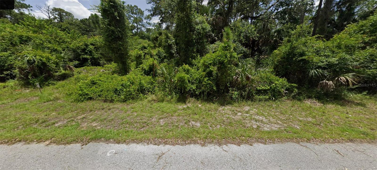 Skrip Ave Property Photo 2