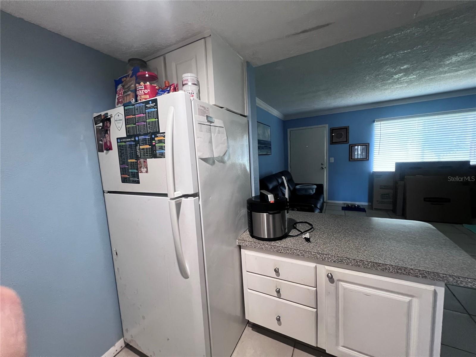 126 Blue Point Way #100 Property Photo 6