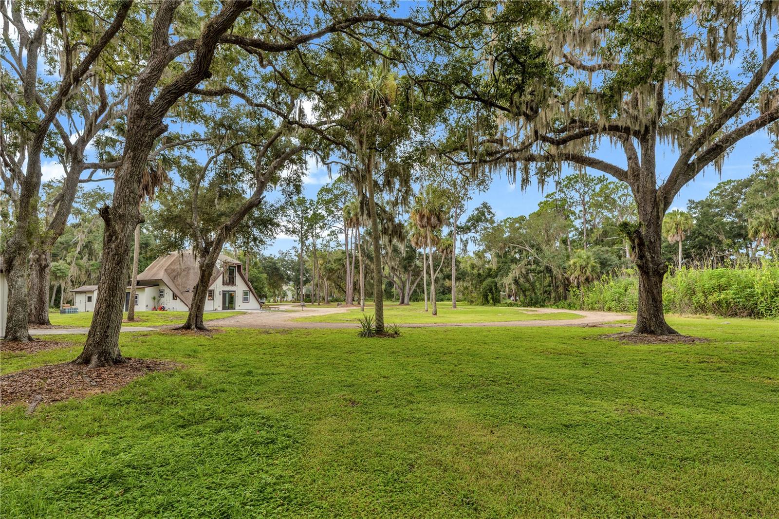 1213 Butch Cassidy Trl Property Photo 29