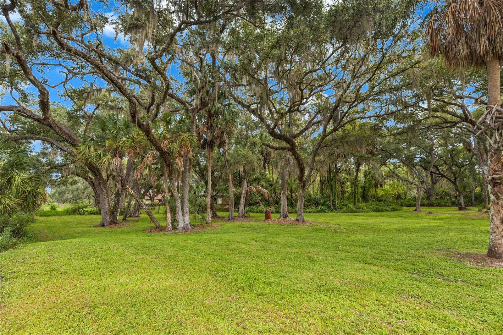 1213 Butch Cassidy Trl Property Photo 30