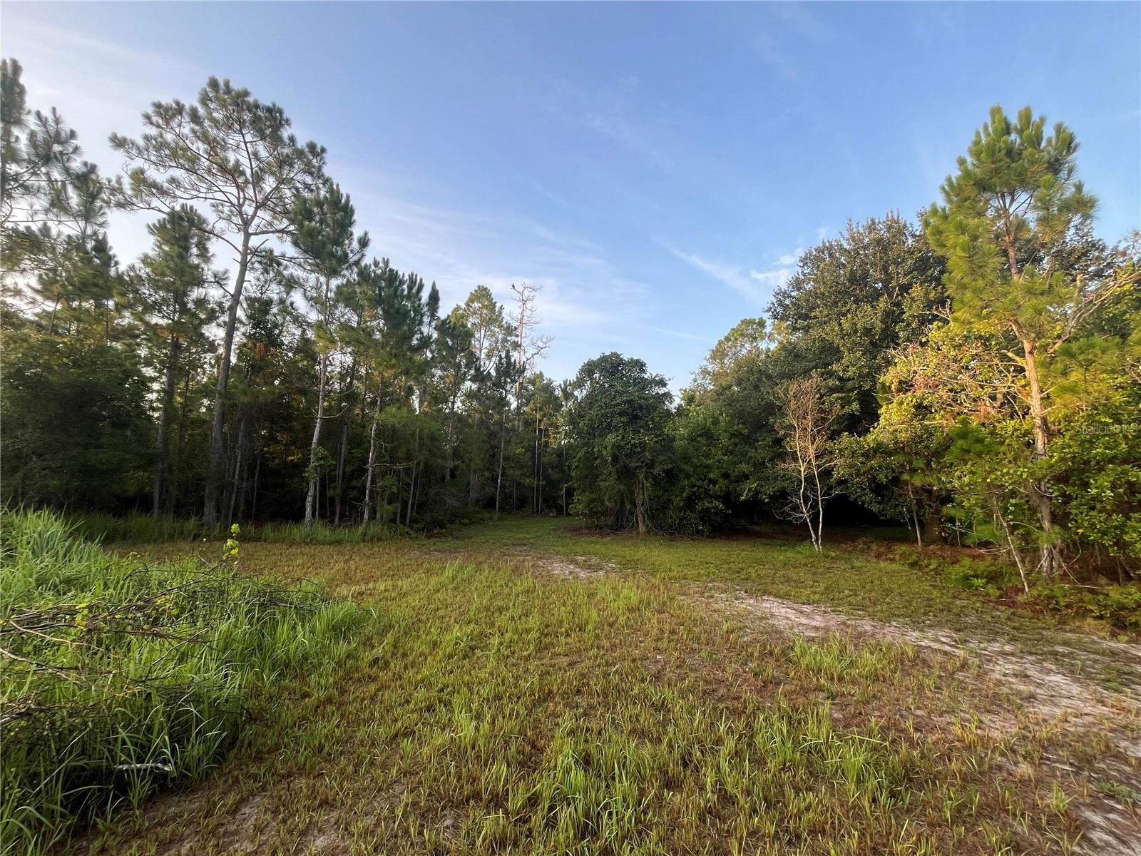 32801 441 Hwy N #287 Property Photo 6