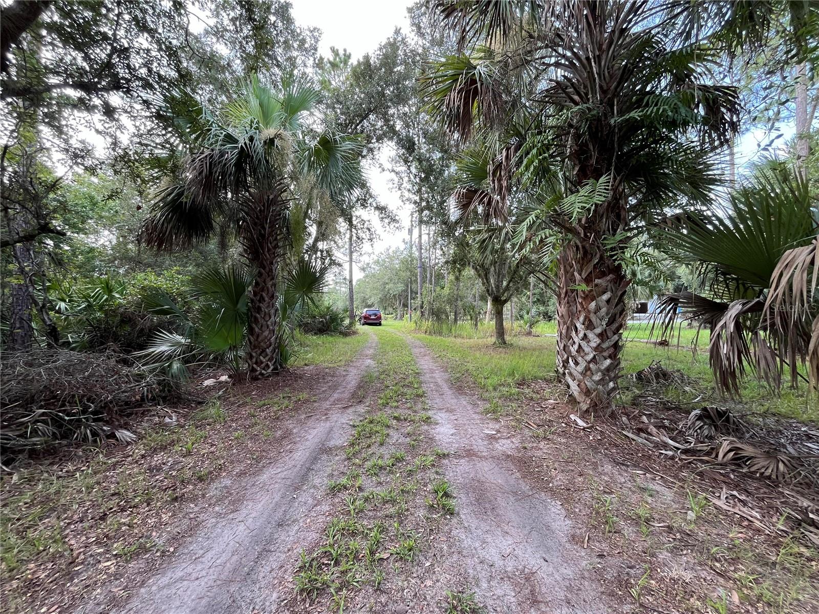 32801 441 Hwy N #287 Property Photo 8